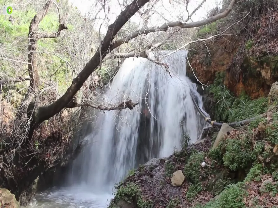 مدار الساعة,أخبار السياحة في الأردن,كورونا
