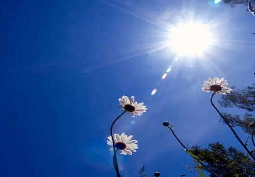 مدار الساعة,الطقس في الأردن اليوم,طقس الأردن,طقس العرب,طقس العرب الاردن,درجات الحرارة العظمى والصغرى,الأرصاد الجوية,درجات الحرارة,البحر الميت