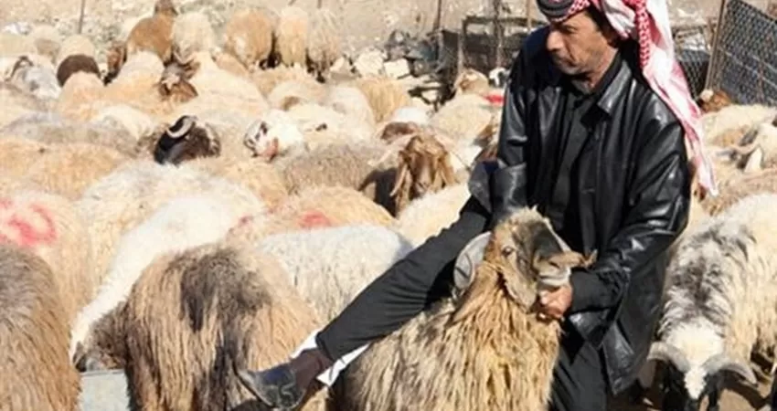 مدار الساعة,أخبار الأردن,اخبار الاردن,وزير الزراعة,الدكتور صالح الخرابشة,الاتحاد الأوروبي,وزارة الزراعة,عيد الأضحى