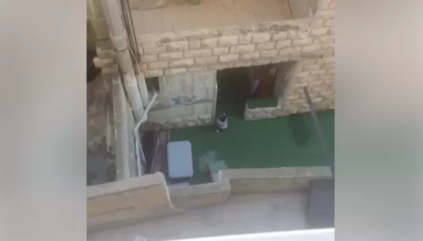مدار الساعة,Video,فيديو,أخبار الأردن,اخبار الاردن,وزارة التنمية الاجتماعية,التنمية الاجتماعية,إدارة حماية الأسرة,الأمم المتحدة,وسائل التواصل الاجتماعي