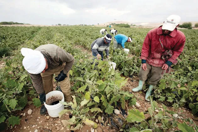 مدار الساعة,أخبار الأردن,اخبار الاردن,وزير العمل