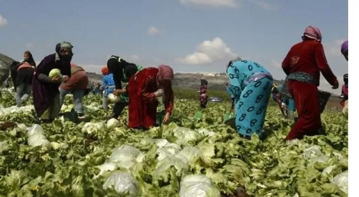 مدار الساعة,أخبار الأردن,اخبار الاردن,وزير العمل,الضمان الاجتماعي
