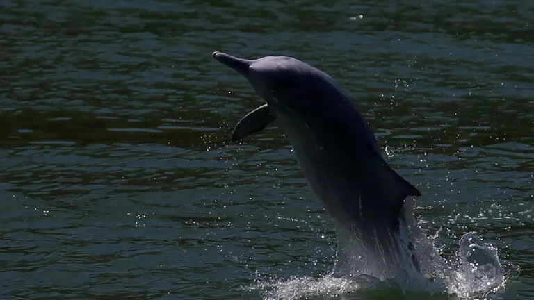 مدار الساعة,أخبار عربية ودولية,وزيرة البيئة