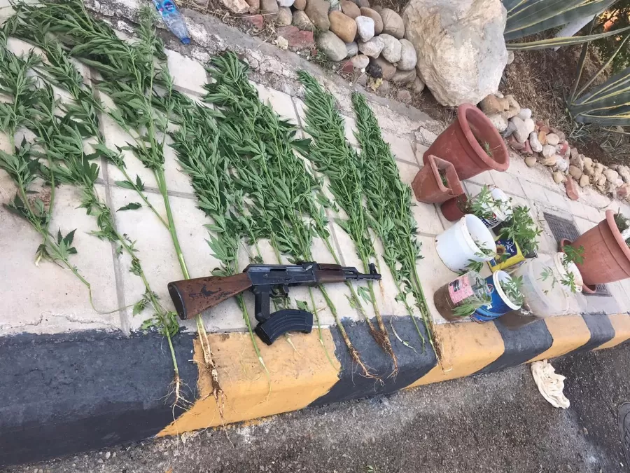 مدار الساعة,أخبار الأردن,اخبار الاردن