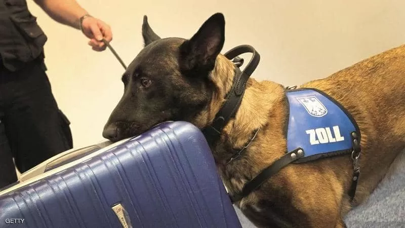 مدار الساعة,أخبار عربية ودولية,الاتحاد الأوروبي