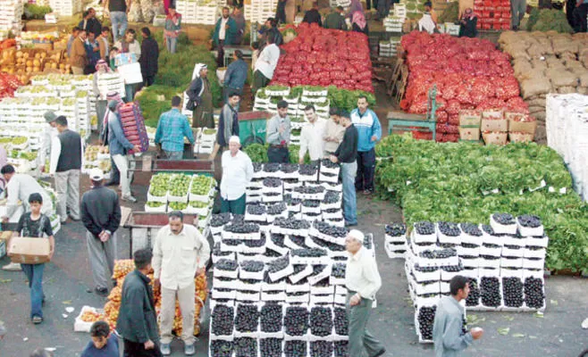 مدار الساعة,أخبار الأردن,اخبار الاردن,وزارة الزراعة,جمهورية مصر العربية,سلطنة عمان
