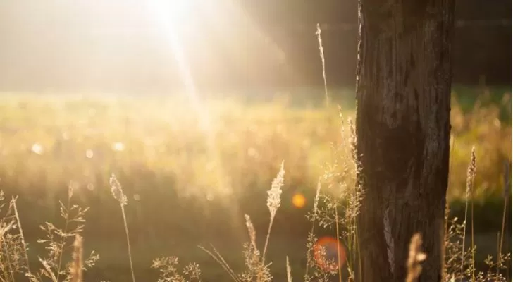 مدار الساعة,الطقس في الأردن اليوم,طقس الأردن,طقس العرب,طقس العرب الاردن,درجات الحرارة