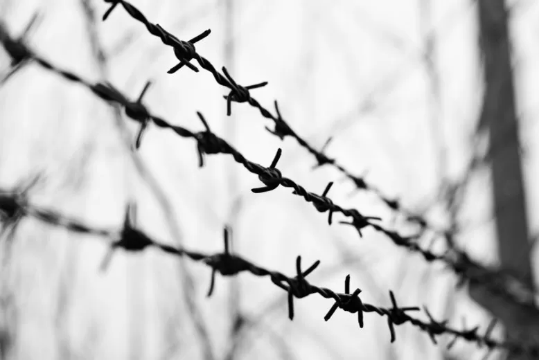 مدار الساعة,مقالات