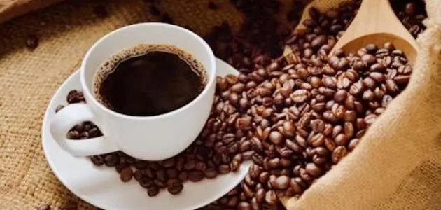 مدار الساعة,أخبار خفيفة ومنوعة