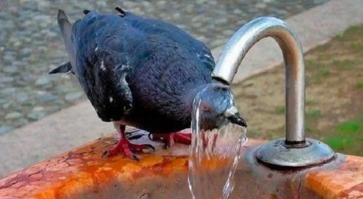 مدار الساعة,الطقس في الأردن اليوم,طقس الأردن,طقس العرب,طقس العرب الاردن,درجات الحرارة