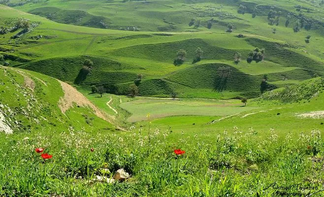 مدار الساعة,الطقس في الأردن اليوم,طقس الأردن,طقس العرب,طقس العرب الاردن,البحر الميت