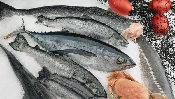 مدار الساعة,أخبار اقتصادية,الاتحاد الأوروبي,وزارة الصناعة والتجارة,وزارة الصناعة