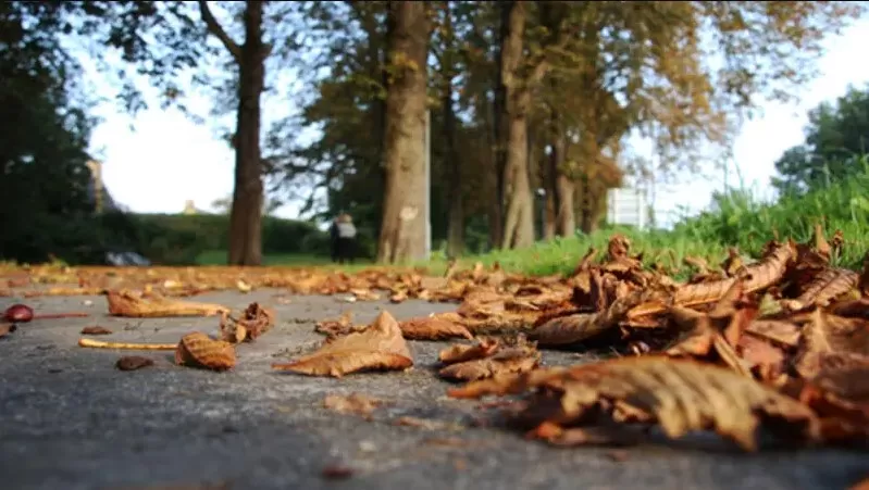 مدار الساعة,الطقس في الأردن اليوم,طقس الأردن,طقس العرب,طقس العرب الاردن