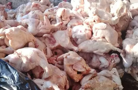 مدار الساعة,أخبار الأردن,اخبار الاردن,المؤسسة العامة للغذاء والدواء,رئاسة الوزراء