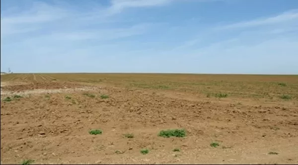 مدار الساعة,أخبار الأردن,اخبار الاردن,رئيس الوزراء