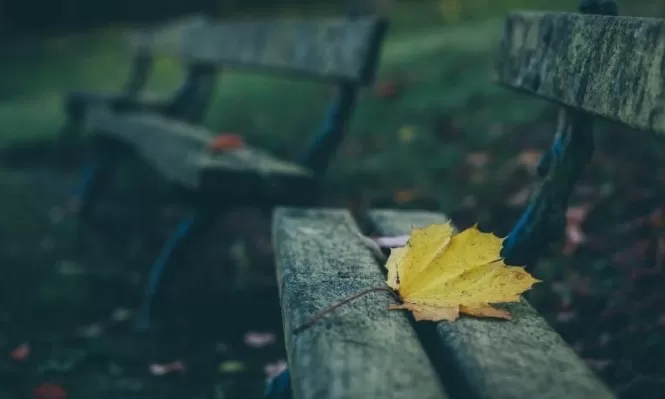 مدار الساعة,الطقس في الأردن اليوم,طقس الأردن,طقس العرب,طقس العرب الاردن,درجات الحرارة العظمى والصغرى,درجات الحرارة,البحر الميت