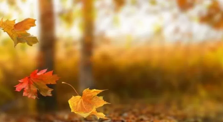 مدار الساعة,الطقس في الأردن اليوم,طقس الأردن,طقس العرب,طقس العرب الاردن,درجات الحرارة