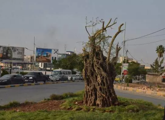 مدار الساعة,أسرار أردنية