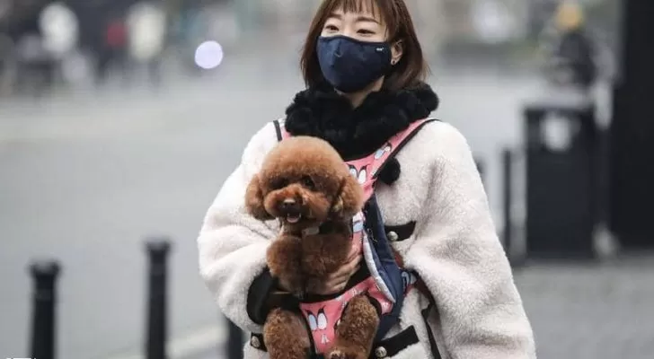 مدار الساعة,أخبار عربية ودولية,كورونا,منظمة الصحة العالمية