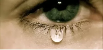 مدار الساعة,أخبار الأسرة