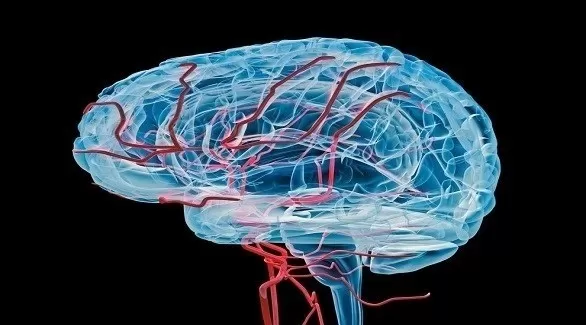 مدار الساعة,أخبار الجامعات الأردنية