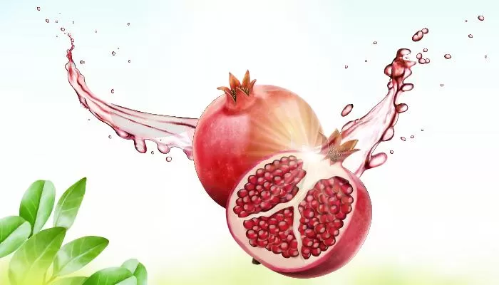 مدار الساعة,أخبار الأسرة