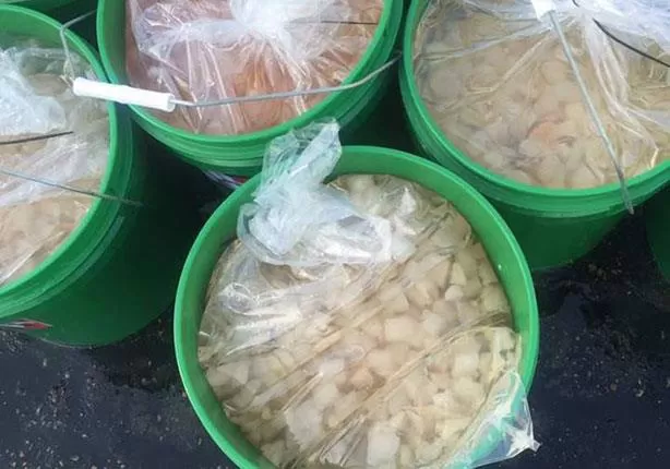 مدار الساعة,أخبار الأردن,اخبار الاردن