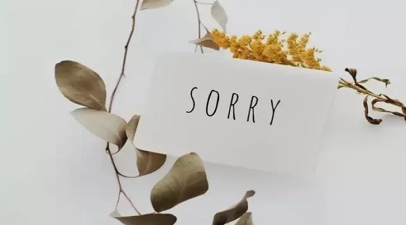 مدار الساعة,أخبار الأسرة