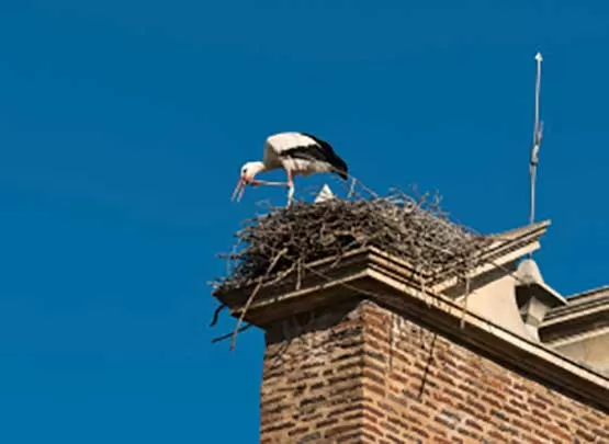 مدار الساعة,أخبار خفيفة ومنوعة