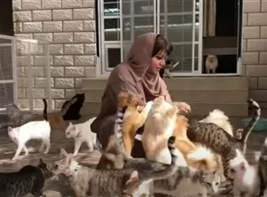 مدار الساعة,أخبار الأسرة