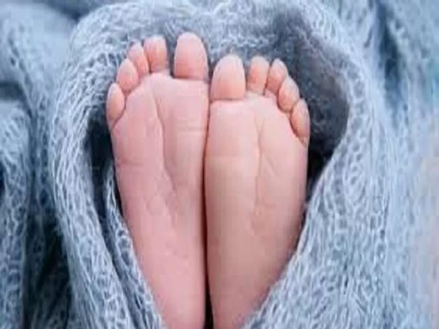 مدار الساعة,أخبار الأسرة