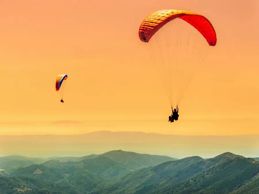 مدار الساعة,أخبار ثقافية,مواقع التواصل الاجتماعي