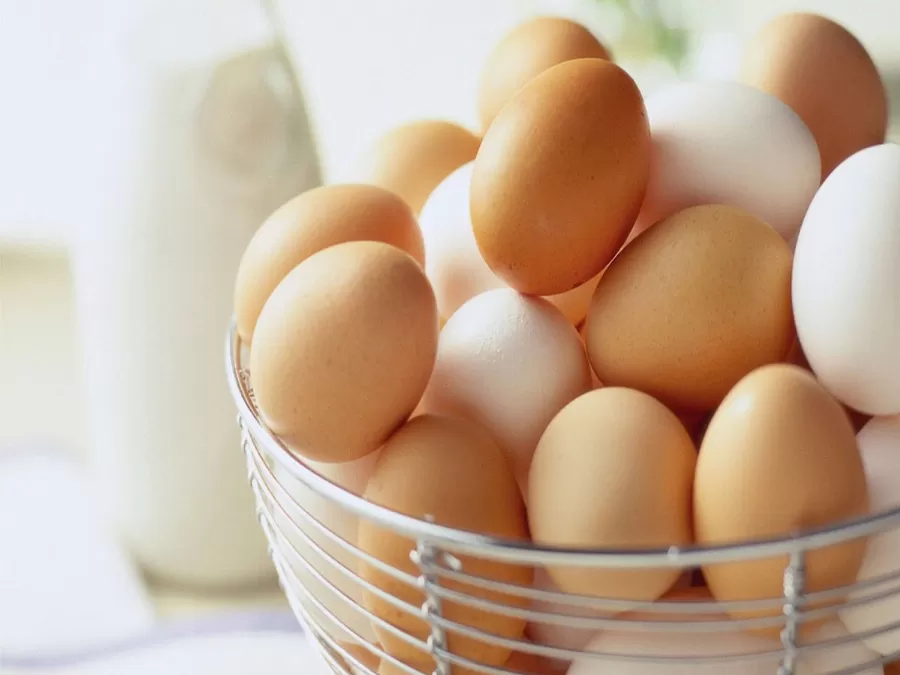 مدار الساعة,أخبار الأسرة