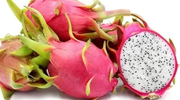 مدار الساعة,أخبار الأسرة