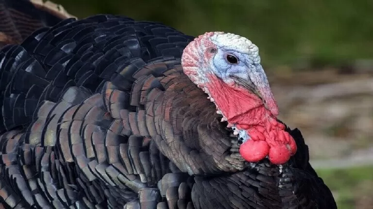 مدار الساعة,أخبار عربية ودولية,وزارة البيئة