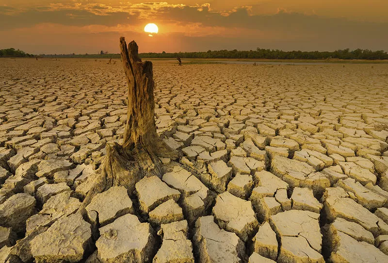 مدار الساعة,أخبار خفيفة ومنوعة