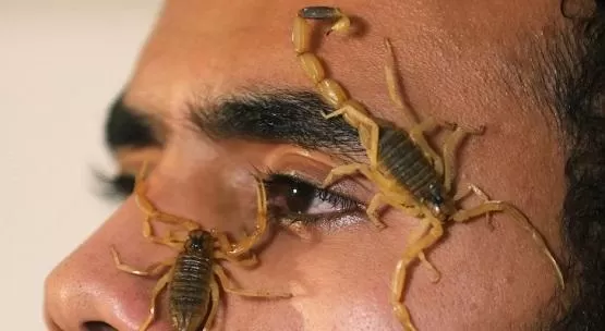 مدار الساعة,أخبار خفيفة ومنوعة