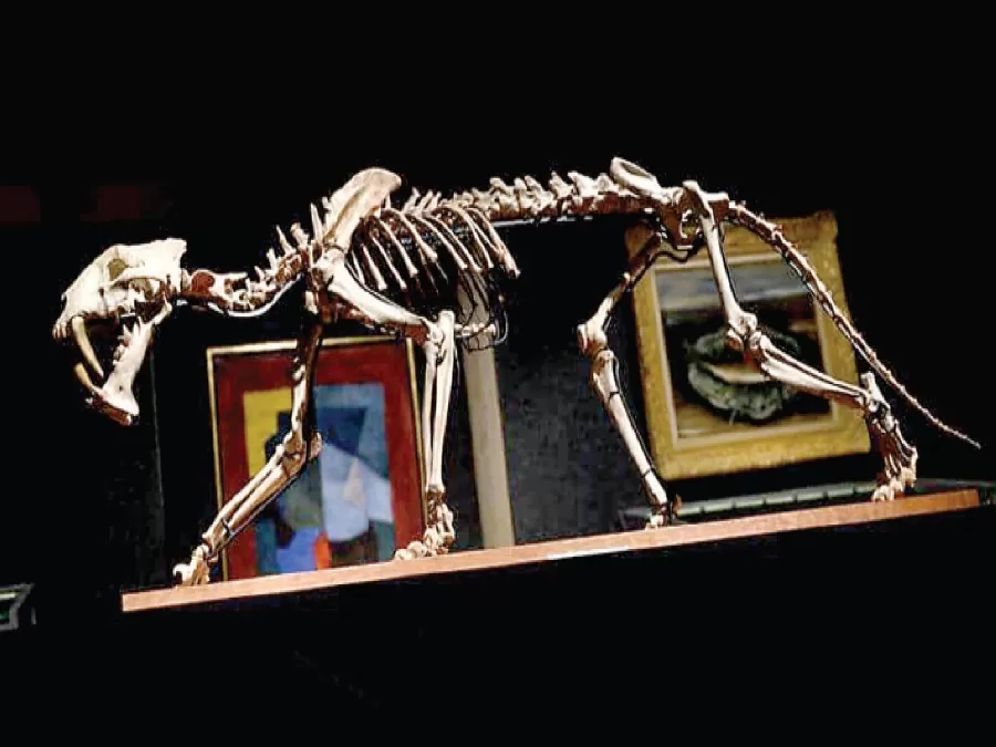 مدار الساعة,أخبار عربية ودولية