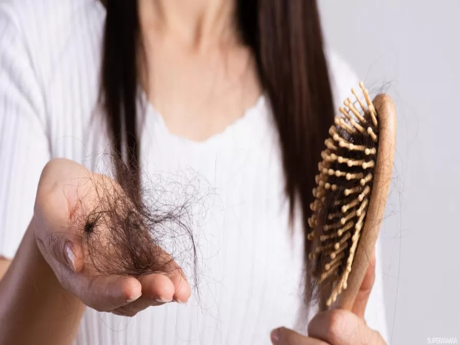 مدار الساعة,أخبار الأسرة