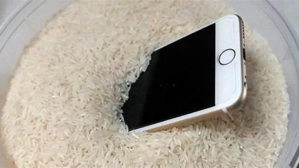 مدار الساعة,أخبار خفيفة ومنوعة