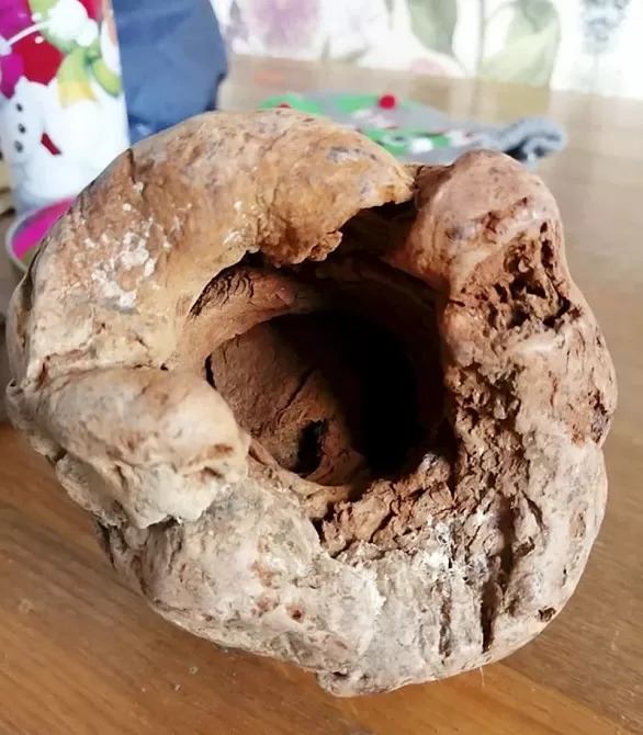 مدار الساعة,أخبار خفيفة ومنوعة,وسائل التواصل الاجتماعي