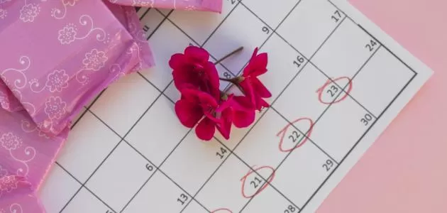 مدار الساعة,أخبار الأسرة