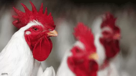 مدار الساعة,أخبار عربية ودولية,وزارة الزراعة,منظمة الصحة العالمية,مواقع التواصل الاجتماعي