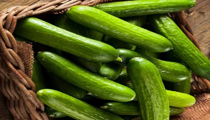 مدار الساعة,أخبار اقتصادية,وزير العمل,وزارة الزراعة,وزارة العمل,وادي الأردن