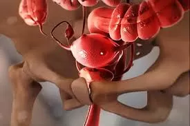 مدار الساعة,أخبار الأسرة