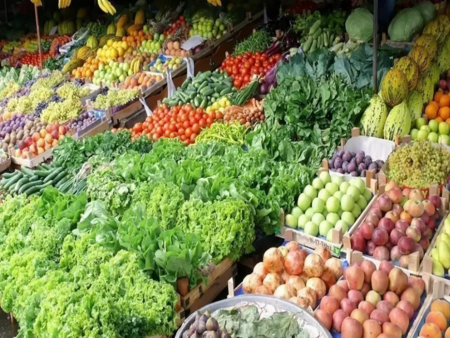 مدار الساعة,أخبار اقتصادية,وزير العمل,وزارة العمل,وادي الأردن