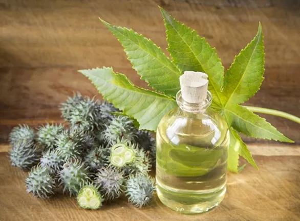 مدار الساعة,أخبار الأسرة,كورونا