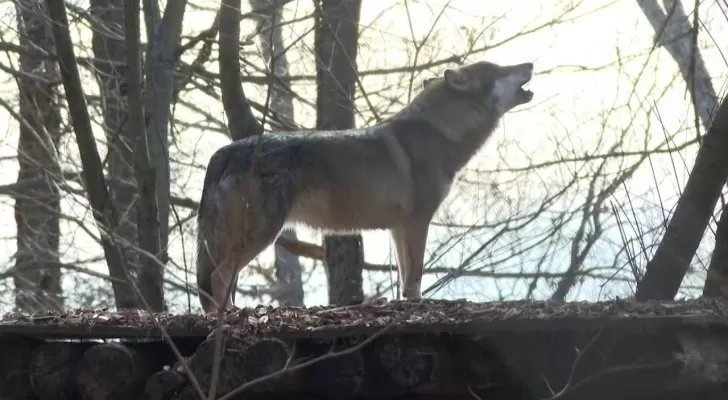 مدار الساعة,أخبار عربية ودولية