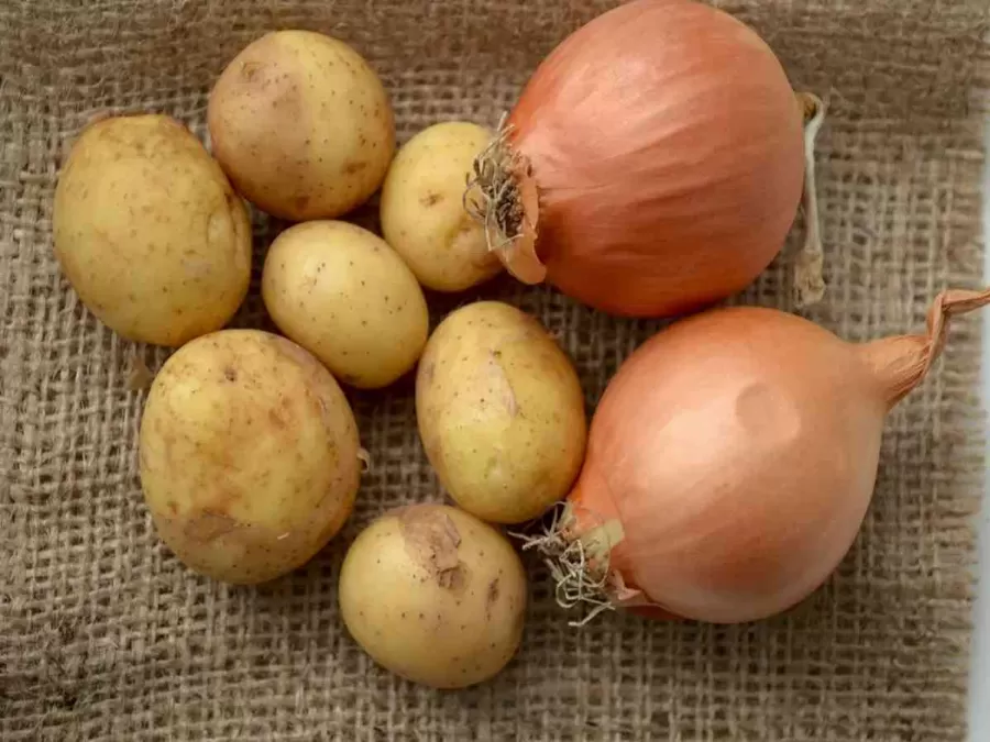 مدار الساعة,أخبار الأسرة