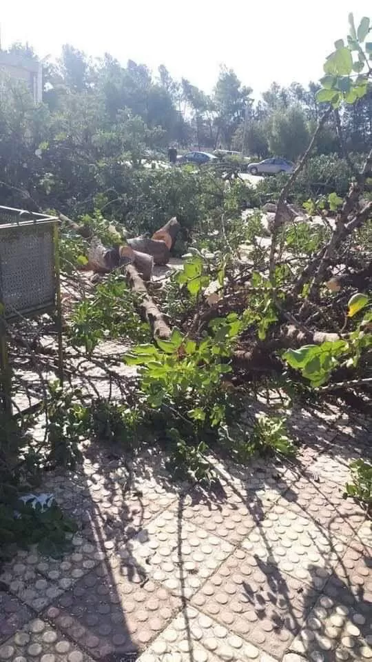 مدار الساعة,أخبار الجامعات الأردنية,جامعة اليرموك